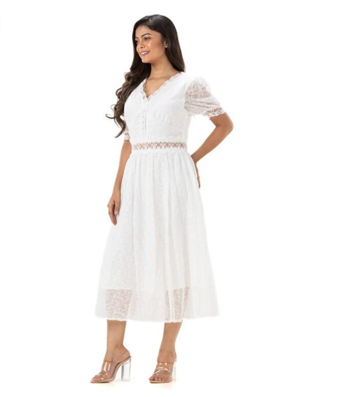 Dainty V Neck Lace Dress