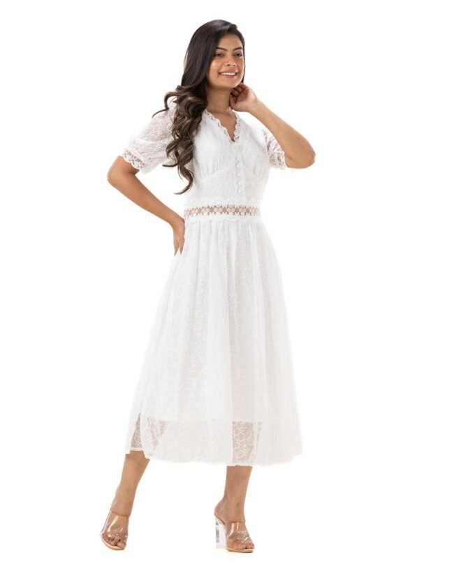 Dainty V Neck Lace Dress