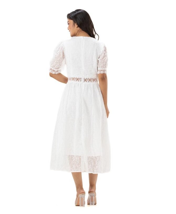 Dainty V Neck Lace Dress