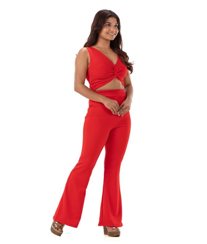Knotted Crop Top with Flared Pants